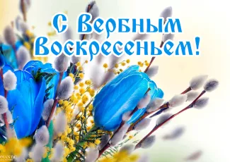 Поздравления с Вербным Воскресеньем Поздравления с Вербным Воскресеньем
