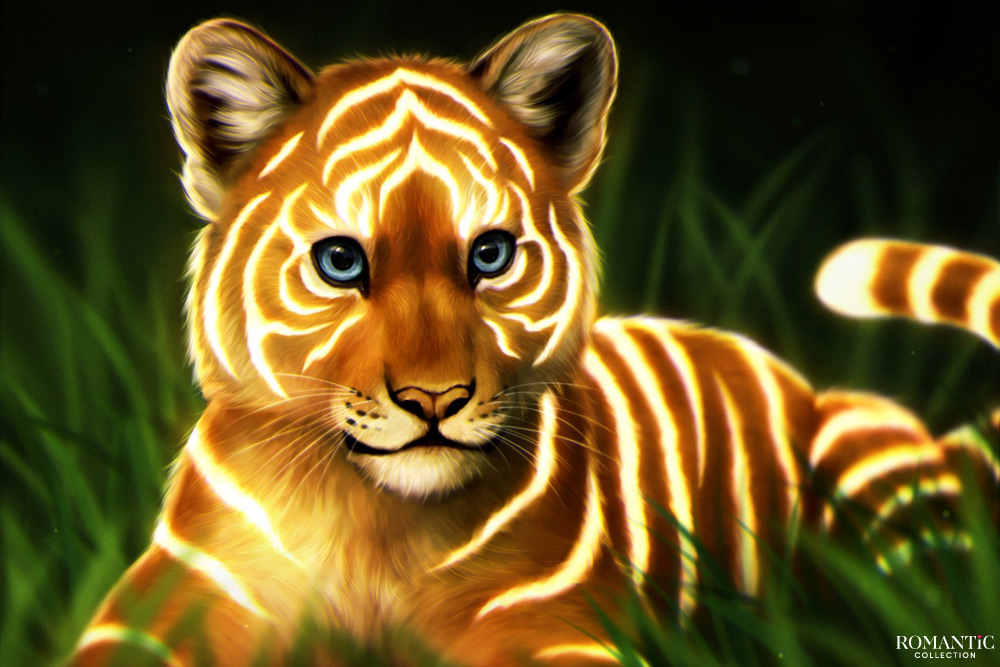 Конкурс «Комплименты для Тигра»
