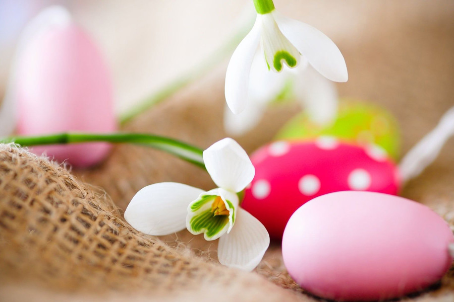 Стихи и поздравления на Пасху