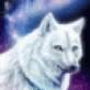Аватар пользователя белая волчица