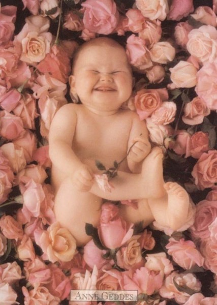 Anne Geddes