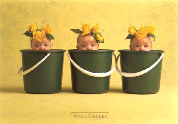 Anne Geddes