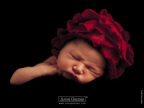 Anne Geddes