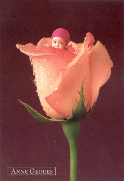 Anne Geddes