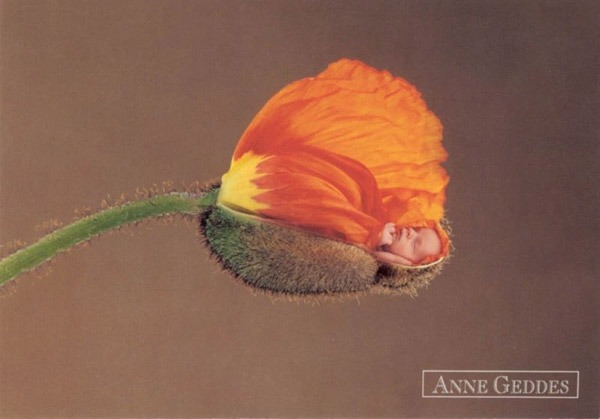 Anne Geddes