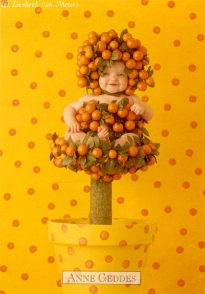 Anne Geddes