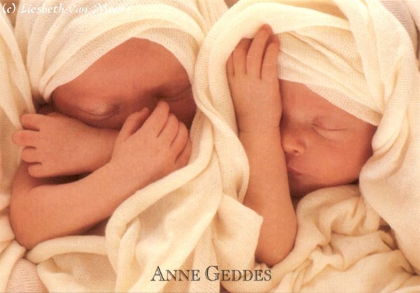 Anne Geddes