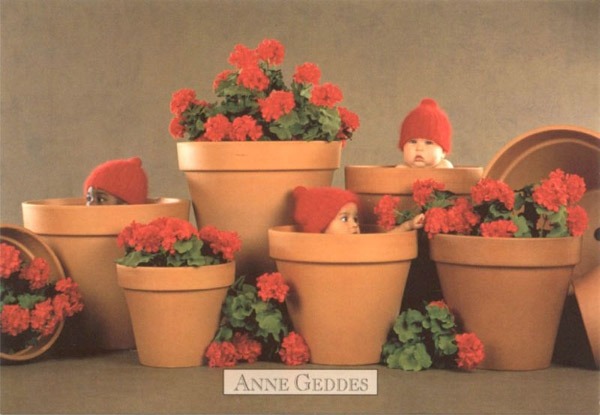 Anne Geddes