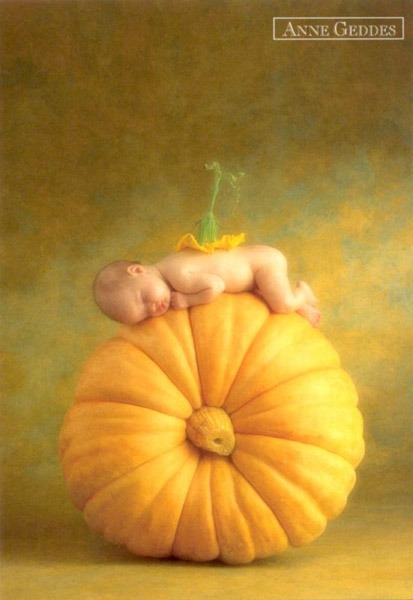 Anne Geddes