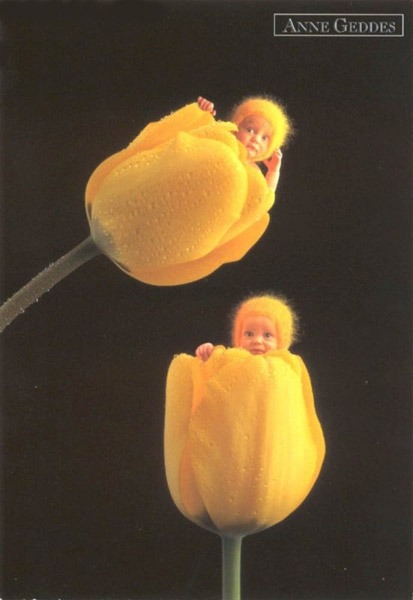 Anne Geddes