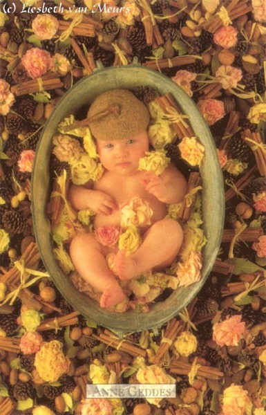 Anne Geddes