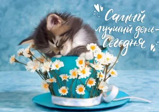 Добрые пожелания на каждый день Добрые пожелания на каждый день