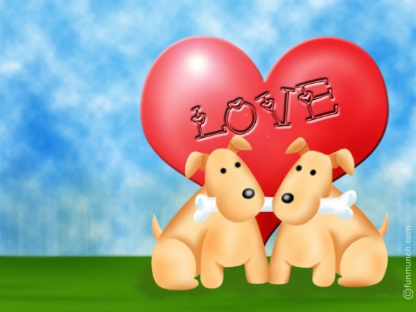 Обои о любви: Влюблённые собачки