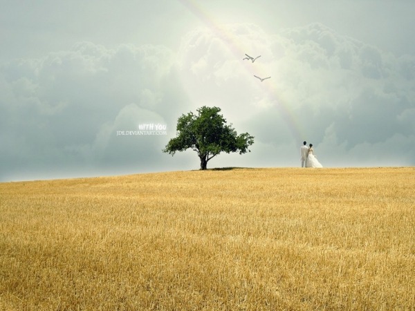 Обои о любви: Свадьба на пшеничном поле