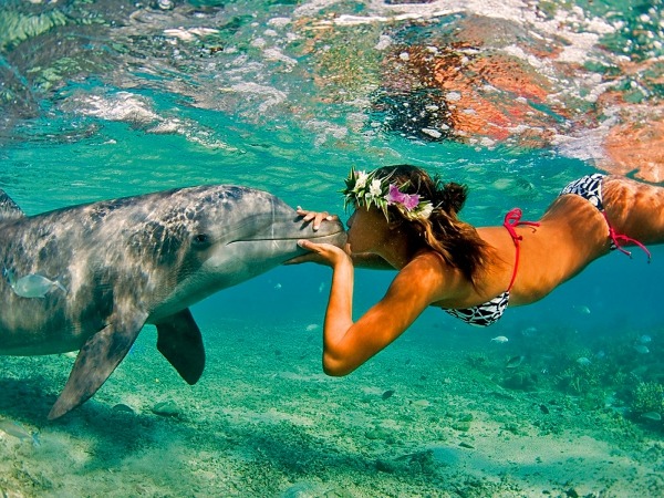 Обои о любви: Поцелуй девушки и дельфина