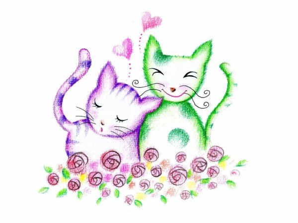 Обои о любви: Влюбленные котята