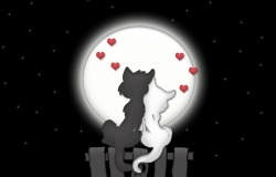 Обои о любви: Влюблённые коты