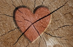 Обои о любви: Сердце на дереве