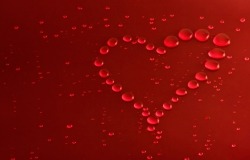 Обои о любви: Красное сердечко из капель воды