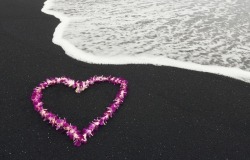 Обои о любви: Сердце из лепестков на берегу моря
