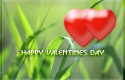 Обои о любви: С Днём Святого Валентина